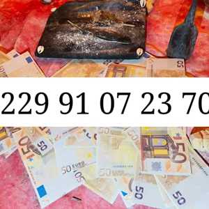 0229 91 07 2370 Expliquer comment avoir le vrai portefeuille magique, un webdesigner à La Rochelle