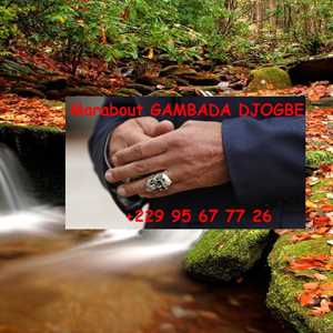 Première Consultation Gratuite Tel : +229 95 67 77 26, un dessinateur à Montélimar