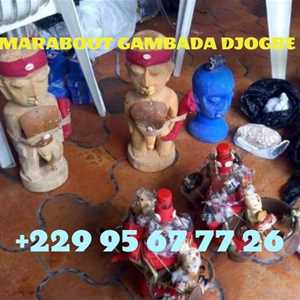 Sérieux Marabout Amour France Tel : +229 95 67 77 26, un dessinateur à Carcassonne