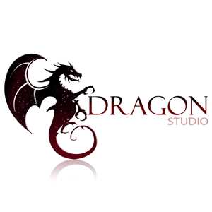 Dragon Studio, un webdesigner à Paris 12ème