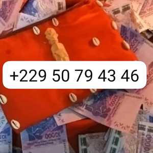 +229 50 79 43 46 REGLE UNIQUE A RESPECTER POUR OBTENIR LE VRAI PORTEFEUILLE MAGIQUE A DISTANCE , un graphiste à Houilles