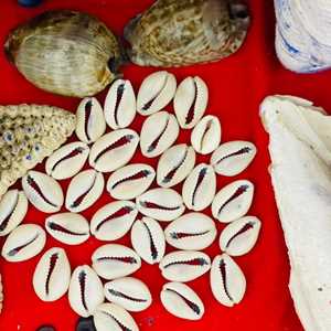 PORTEFEUILLE MAGIQUE, un graphiste à Monistrol-sur-Loire