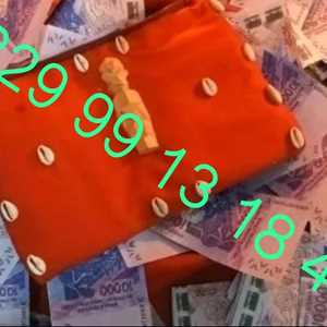 +229  99 13 18 40 Comment recuperer le  portefeuille magique en ligne a distance , un designer graphique à Paris 18ème